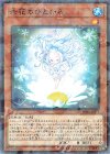 DBSS-JP014 P-N 六花のひとひら