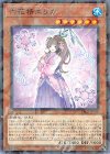  DBSS-JP018 P-N 六花精エリカ 