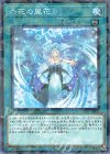  DBSS-JP024 P-N 六花の風花 