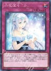  DBSS-JP025 N 六花深々 