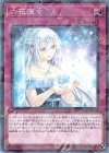  DBSS-JP025 P-N 六花深々 