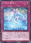  DBSS-JP026 N 六花の薄氷 