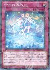  DBSS-JP026 P-N 六花の薄氷 