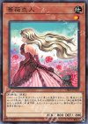  DBSS-JP039 N 薔薇恋人 