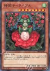  DBSS-JP041 N 椿姫ティタニアル 