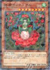 DBSS-JP041 P-N 椿姫ティタニアル