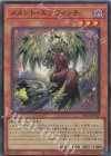  DBVS-JP005 SR メメント・エンウィッチ 