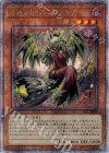 DBVS-JP005 QCSE メメント・エンウィッチ
