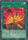  DDS2-JP019 UR 閃刀術式-アフターバーナー 