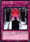 DE03-JP157 N 呪言の鏡 