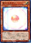 DE04-JP102 SR 聖なるあかり