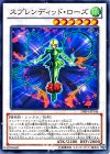 DE04-JP146 N スプレンディッド・ローズ