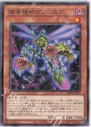 DIFO-JP017 R 捕食植物ビブリスプ 