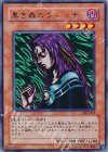 DL4-047 R 黒き森のウィッチ