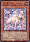  DP07-JP002 N 宝玉獣 アメジスト・キャット 