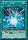 DP07-JP017 N 宝玉の恵み 