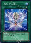 DP1-JP018 N 進化する翼
