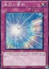 DP11-JP029 SR 黒羽の導き