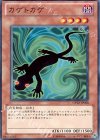  DP12-JP008 N カゲトカゲ 