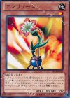  DP14-JP018 N アマリリース 