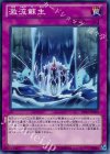  DP15-JP029 N 激流蘇生 