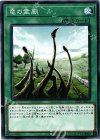  DP20-JP010 N 竜の霊廟 