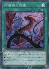  DP21-JP026 SR 冷薔薇の抱香 