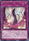  DP21-JP027 R 漆黒の薔薇の開華 