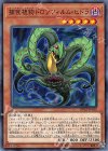  DP22-JP050 N 捕食植物ドロソフィルム・ヒドラ 