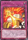  DP24-JP007 R 太陽神合一 