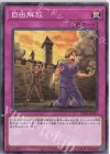  DP25-JP033 N 自由解放 