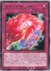  DP27-JP026 R 絶望と希望の逆転 