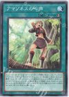  DP27-JP045 N アマゾネスの叫声 