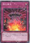  DR01-JPB30 N 強化蘇生 