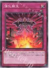  DR02-JPD29 N 強化蘇生 