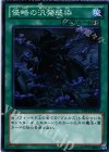 DS13-JPD23 N 侵略の汎発感染