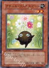 DT04-JP022 N ナチュル・コスモスビート