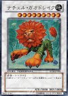  DT04-JP038 SR ナチュル・ガオドレイク 