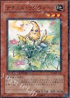 DT08-JP030 N ナチュル・ラグウィード