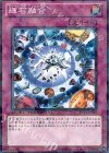 DT11-JP048 N 輝石融合