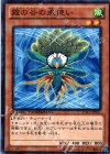  DTC1-JP037 N 霞の谷の風使い 