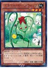 DTC2-JP011 R ナチュル・ローズウィップ
