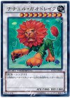 DTC2-JP028 SR ナチュル・ガオドレイク