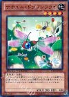  DTC2-JP040 N ナチュル・ドラゴンフライ 