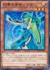  DUEA-JP015 N 幻奏の音女ソナタ 