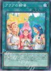  DUNE-JP067 NR アクアの輪唱 