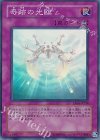 EE04-JP238 SR 奇跡の光臨