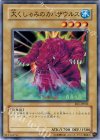 EE1-JP002 N 大くしゃみのカバザウルス