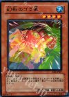  EE2-JP067 N 幻影のゴラ亀 