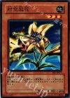  EE2-JP077 N 対空放花 